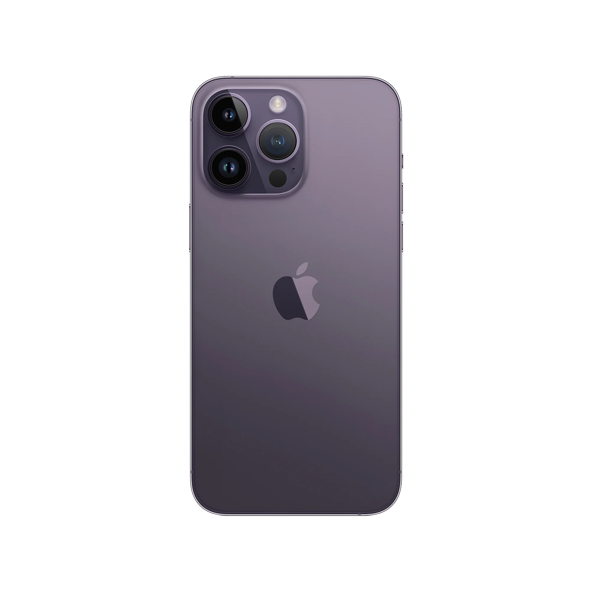 Thumbnail 49